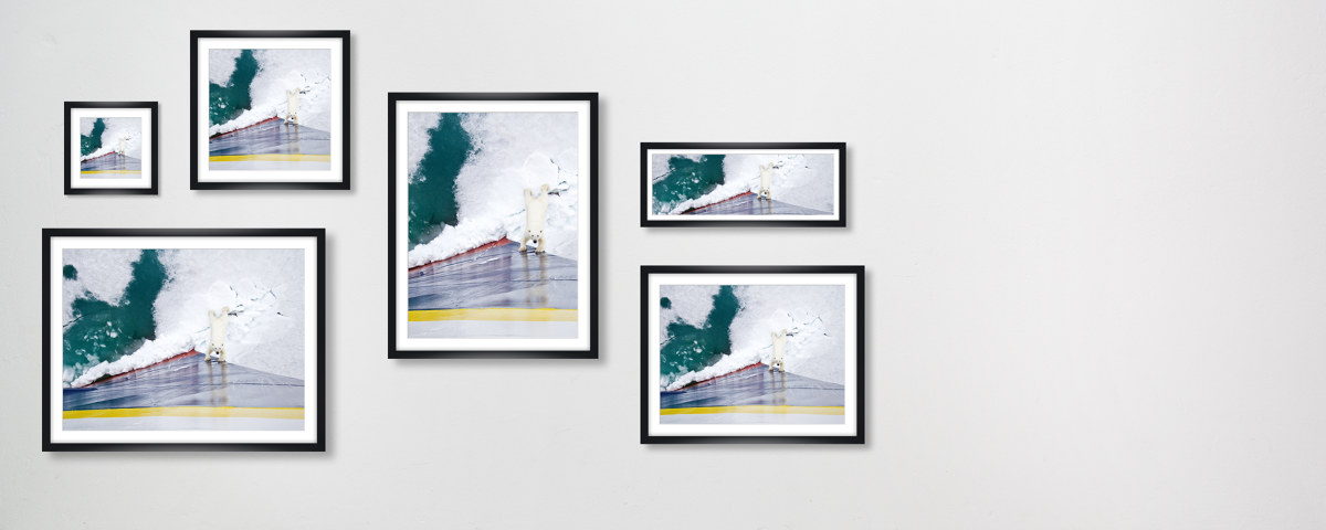 Eisbär gegen Eisbrecher