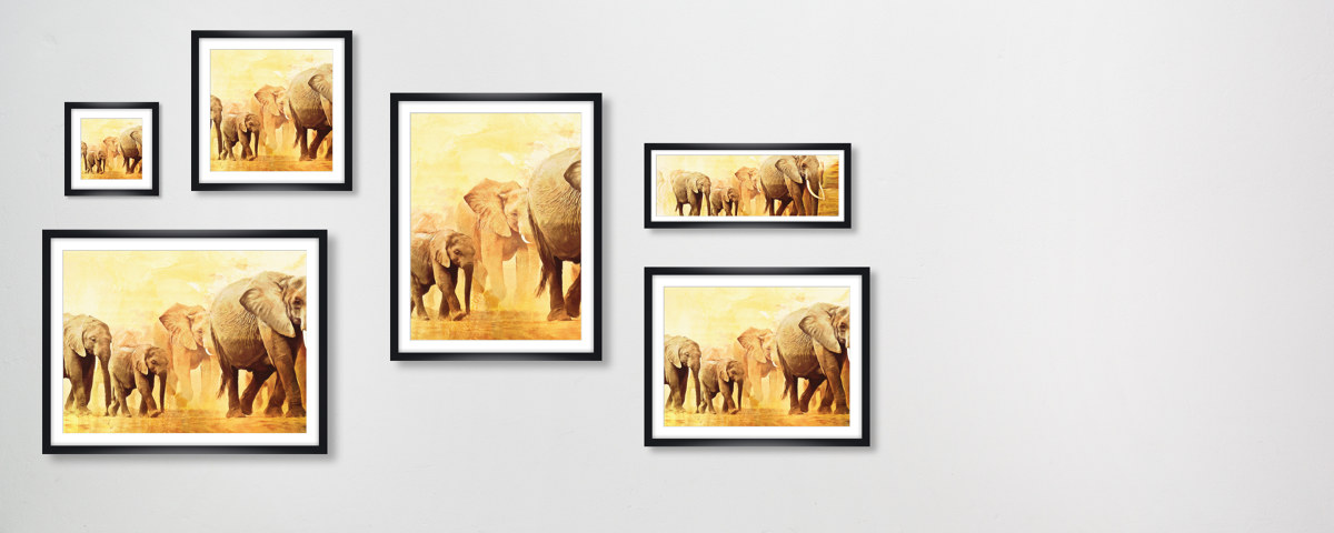 Images d'éléphants