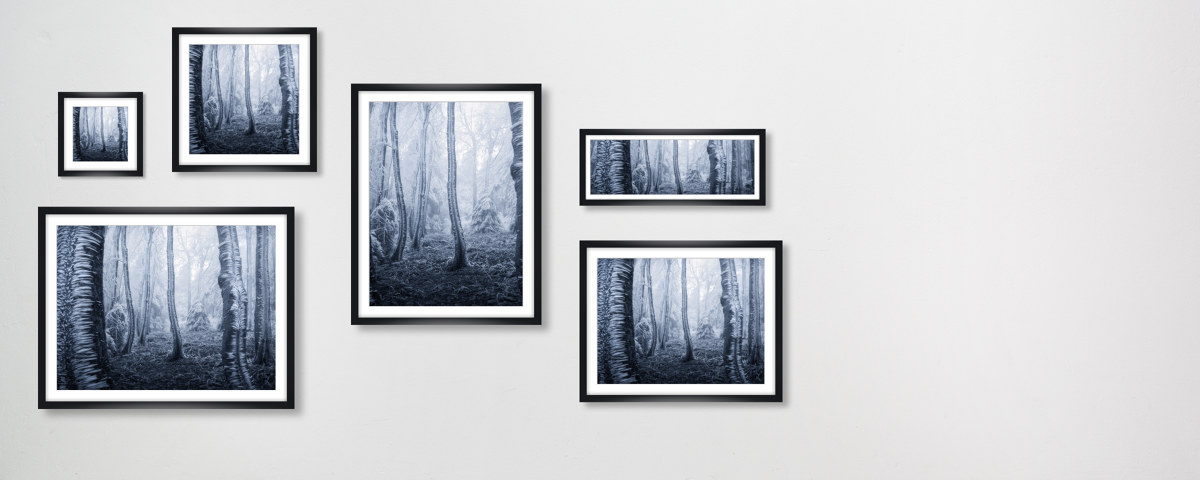 gefrorene Bäume Foto