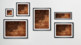 Kaffeebohnen Bilder