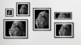 Lion Bilder