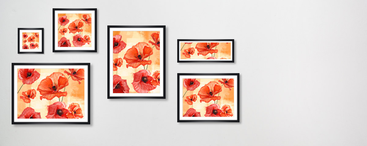 Photos de coquelicots