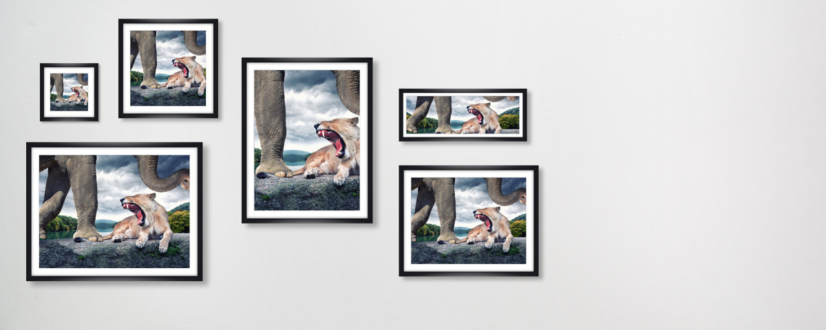 surreeël motief leeuw en olifant