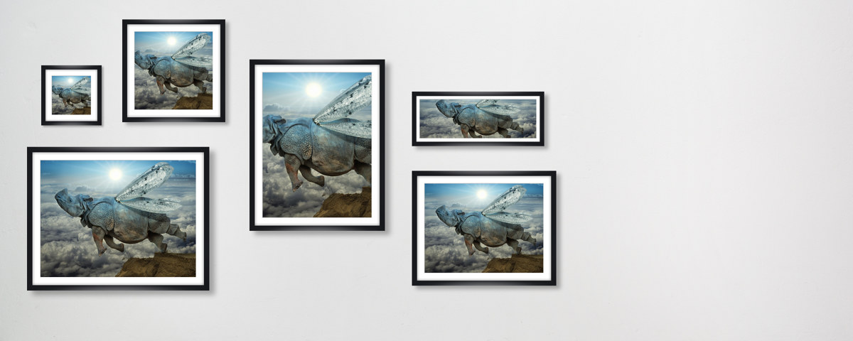 surreales Motiv Nashorn