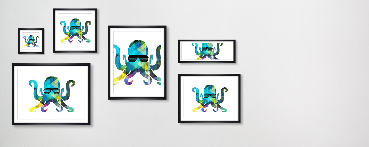 Oktopus Bild