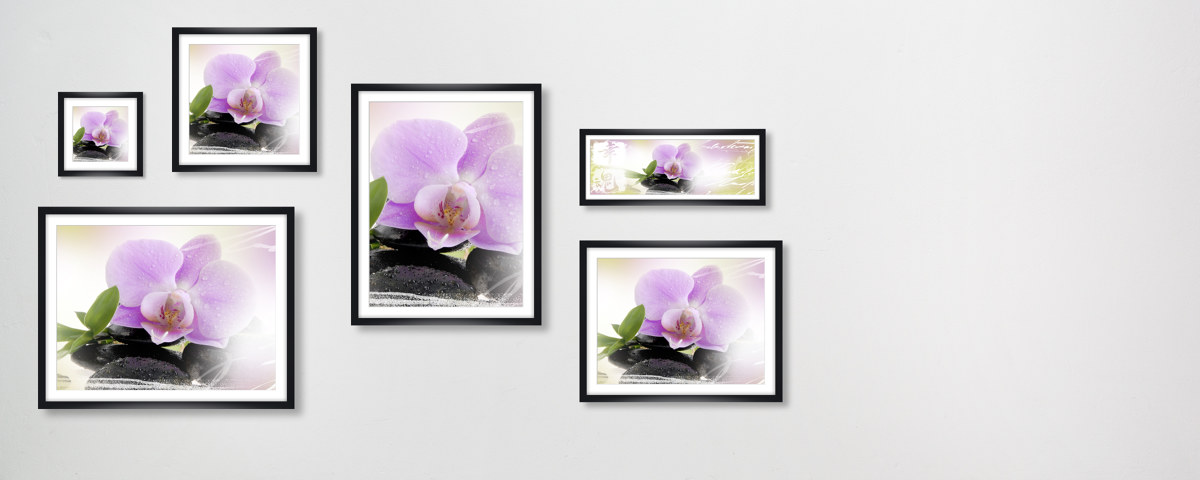 Panorama d'orchidée