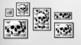 Skulls