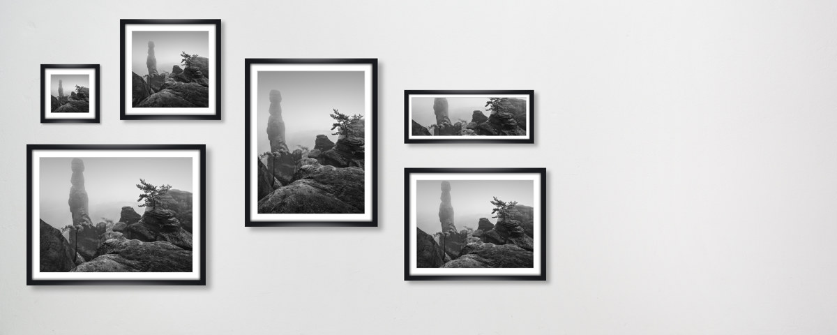 Barbarine im Nebel - S