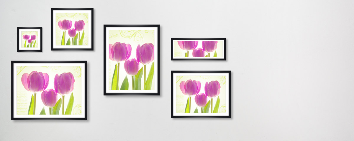 Tulpen Poster