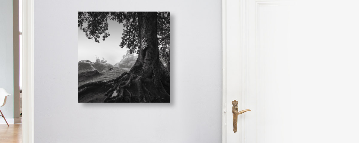 Alte Eiche - Saechsische Schweiz