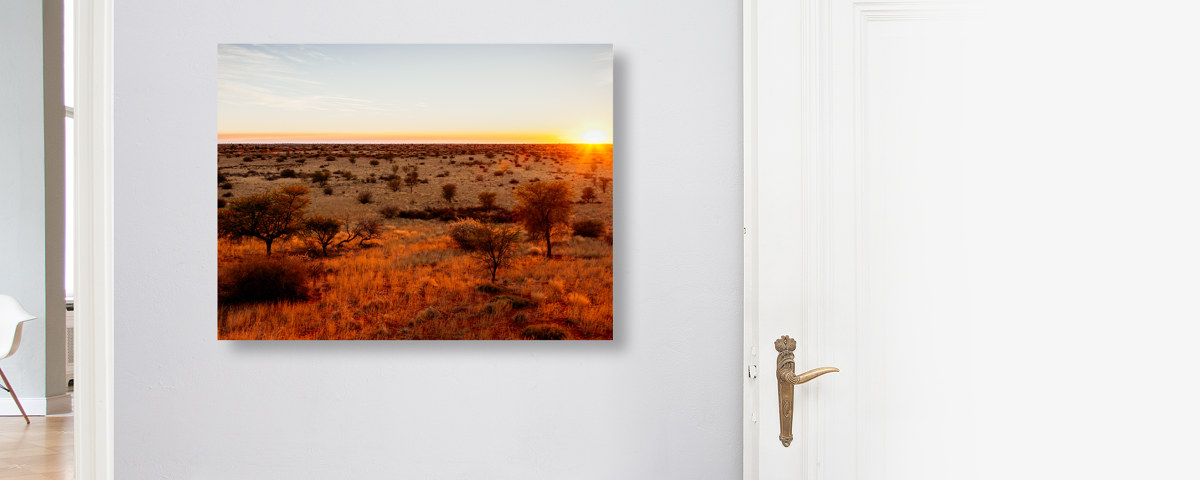 Kalahari Sonnenaufgang