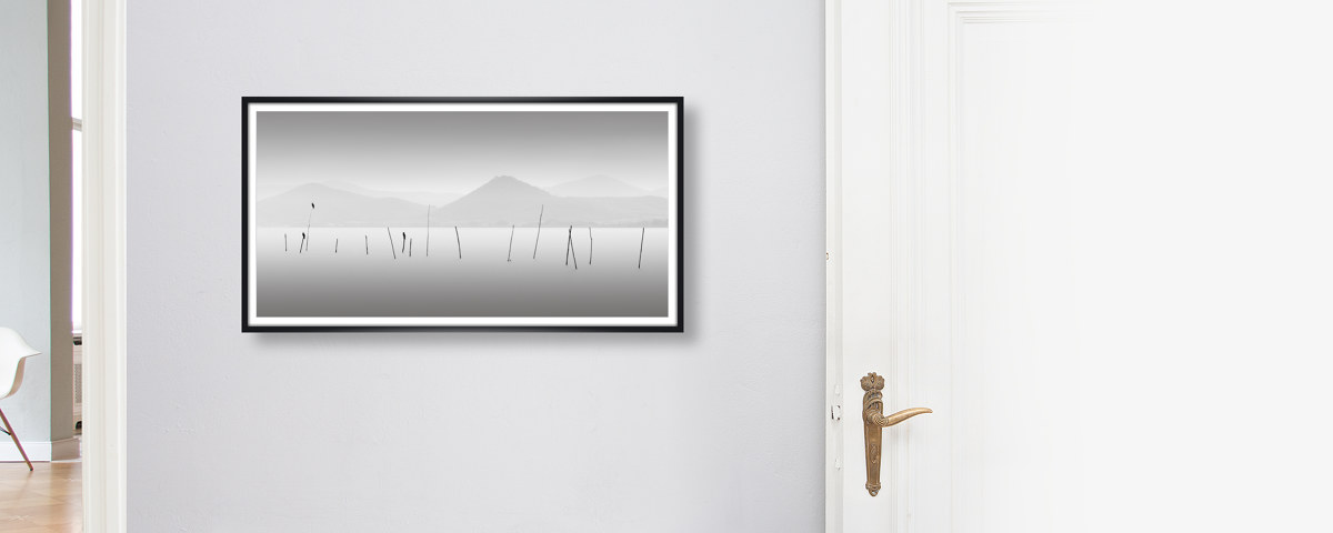 Four Birds - Lago Trasimeno Italien