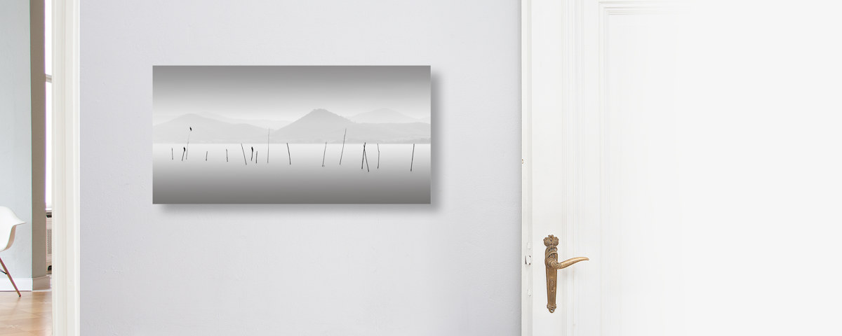 Four Birds - Lago Trasimeno Italien