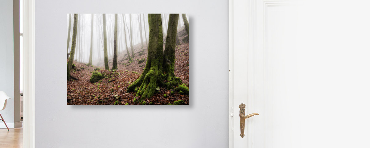 Nebel des Lichtenfels