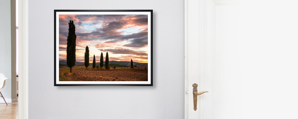 Zypressenblick in der Toskana