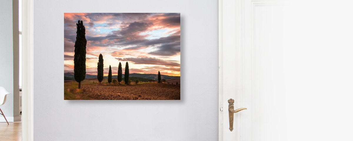 Zypressenblick in der Toskana