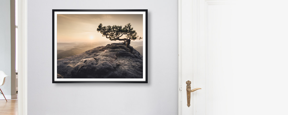 Heimat der Sonne Saechsische Schweiz Lilienstein