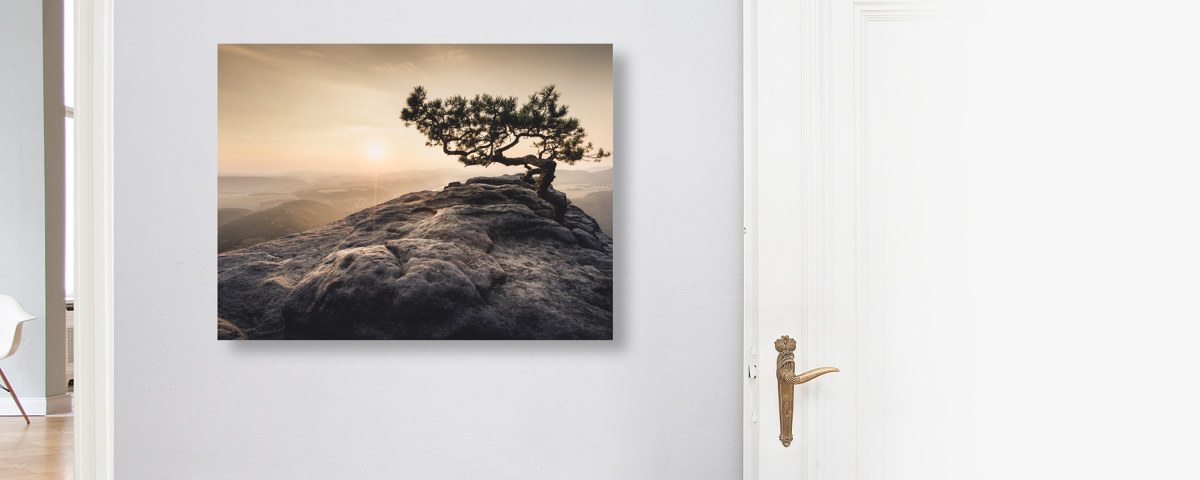 Heimat der Sonne Saechsische Schweiz Lilienstein