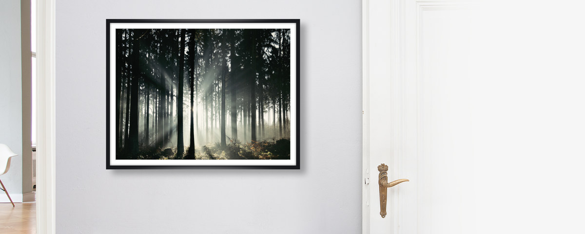 Lichtstrahlen im Teutoburger Wald