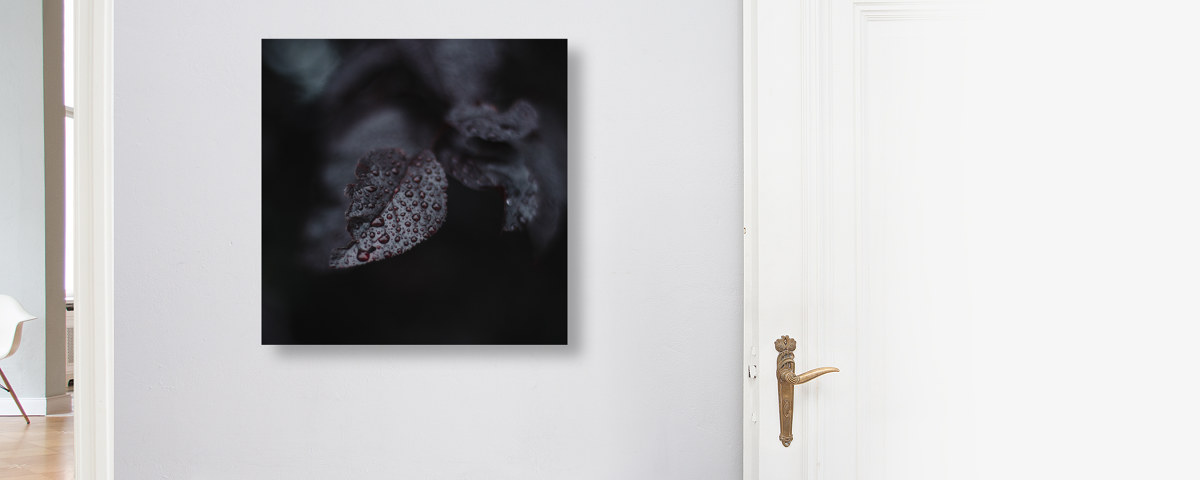 Regentropfen auf Kirschbaumlaub