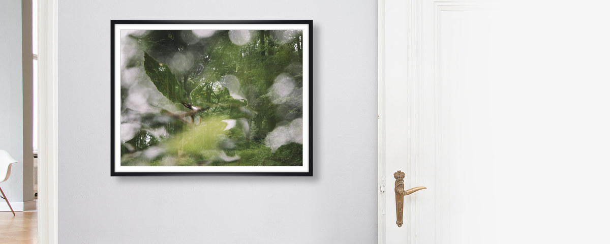 Sommer im Teutoburger Wald