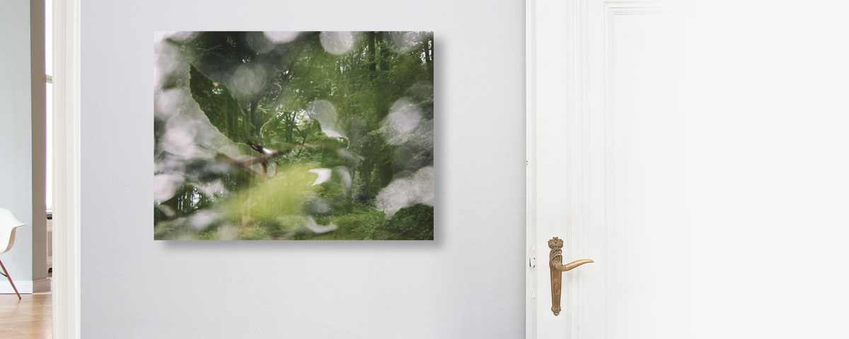 Sommer im Teutoburger Wald