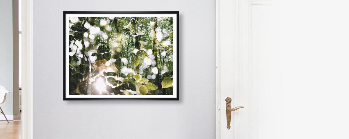 Leuchtendes Laub im Wald