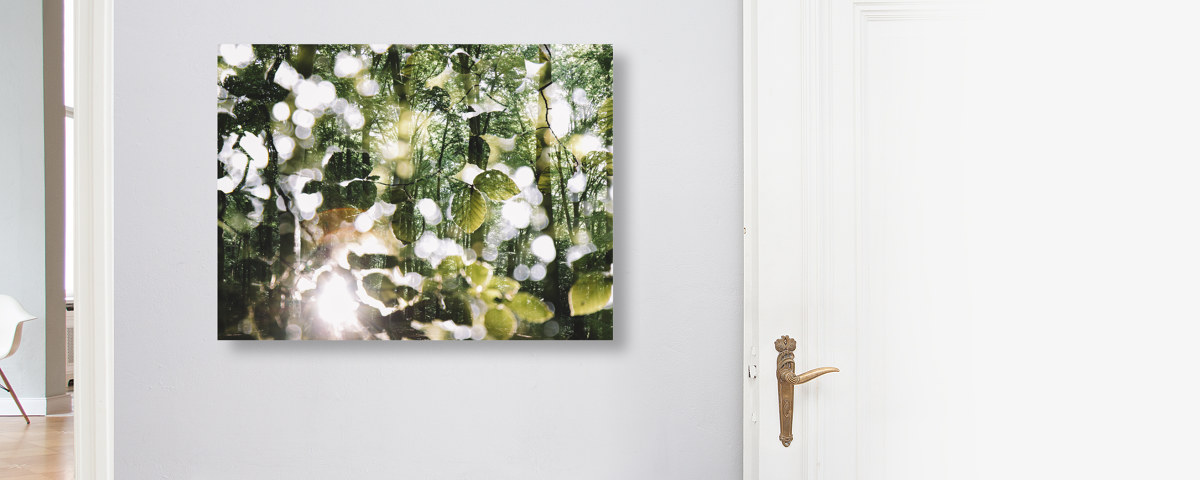 Leuchtendes Laub im Wald