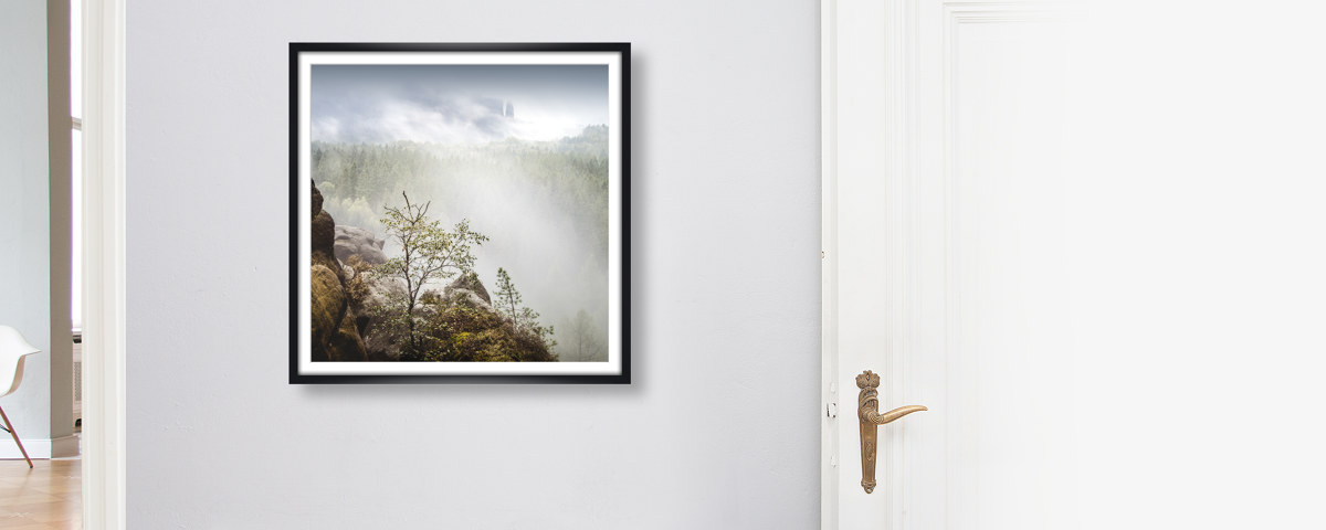 Neuer Wildenstein Saechsische Schweiz