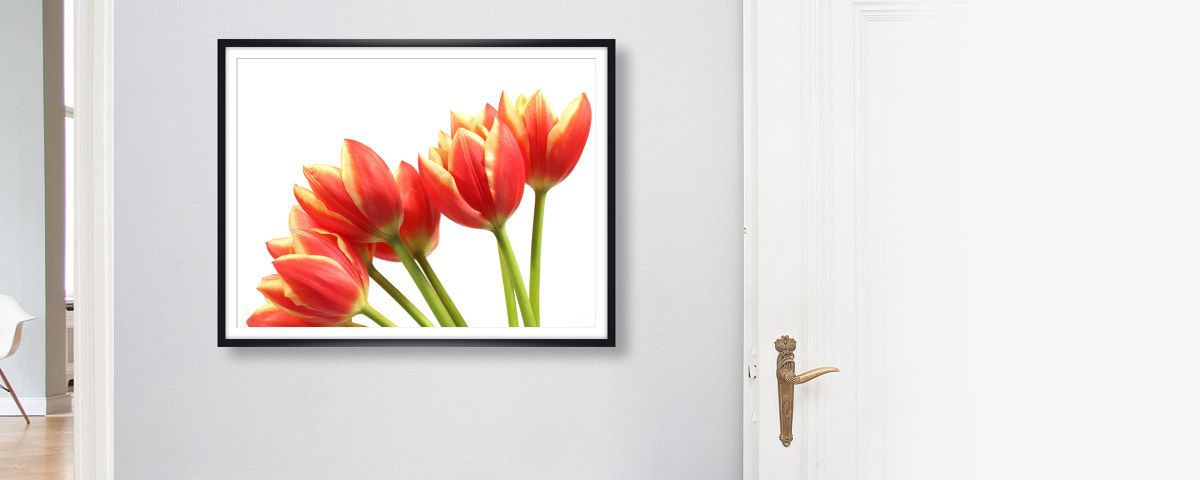 Bouquet de tulipes