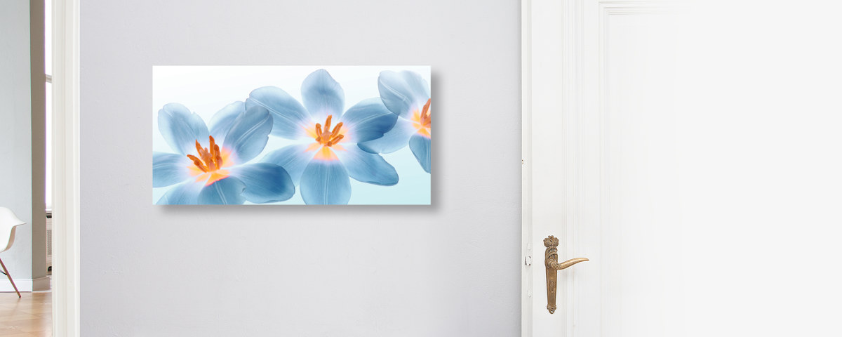 Peinture de tulipes