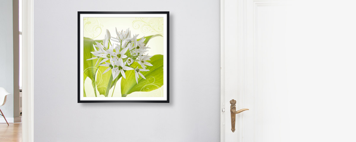 Harmonie de fleurs blanches