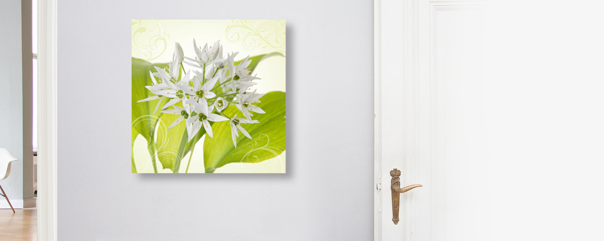 Harmonie de fleurs blanches