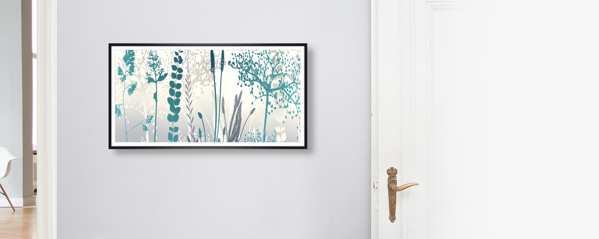 Photos de fleurs multicolores