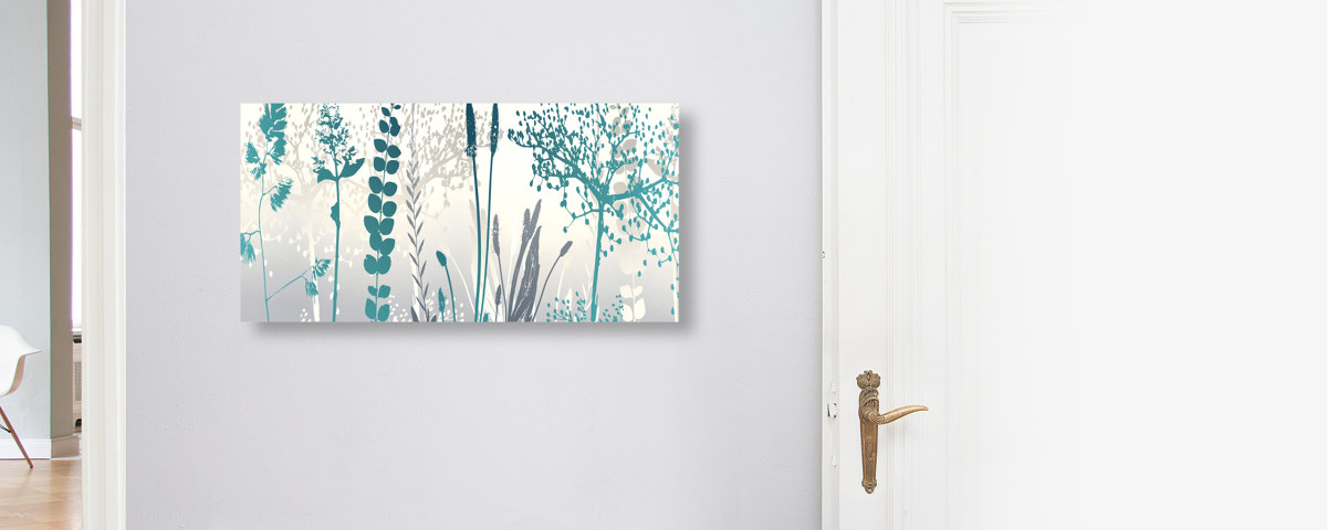 Photos de fleurs multicolores