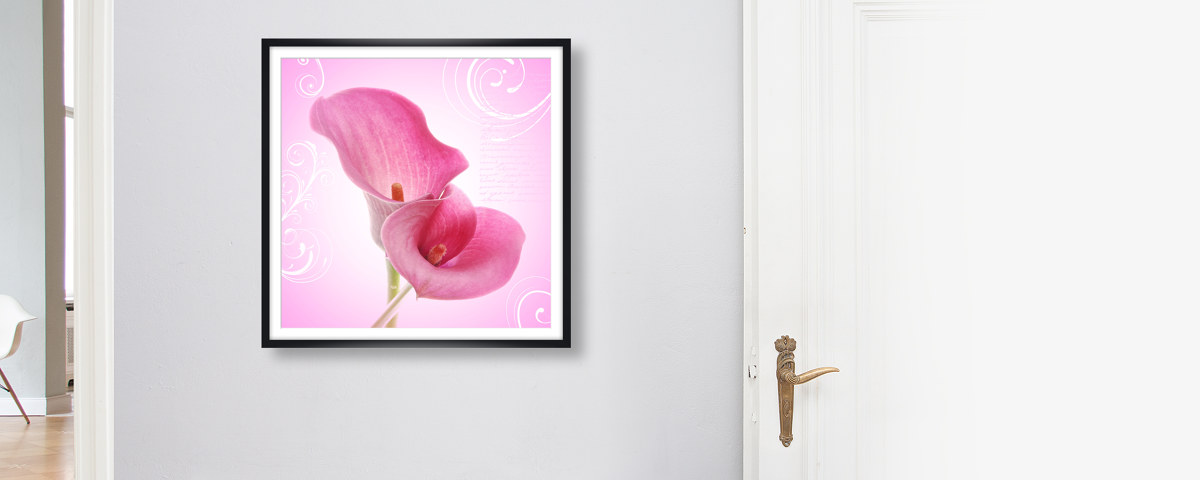 Calla Poster