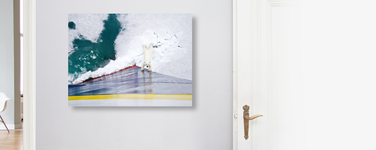 Eisbär gegen Eisbrecher