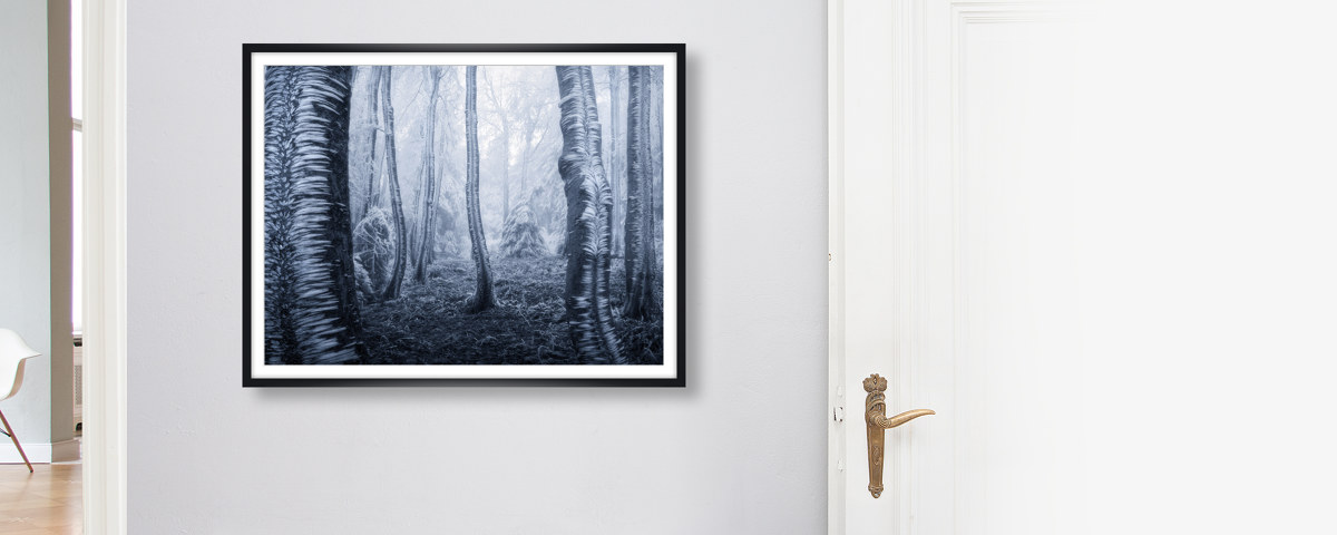 gefrorene Bäume Foto