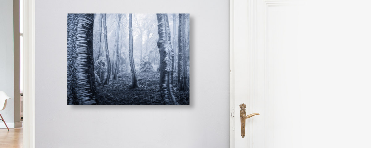 gefrorene Bäume Foto