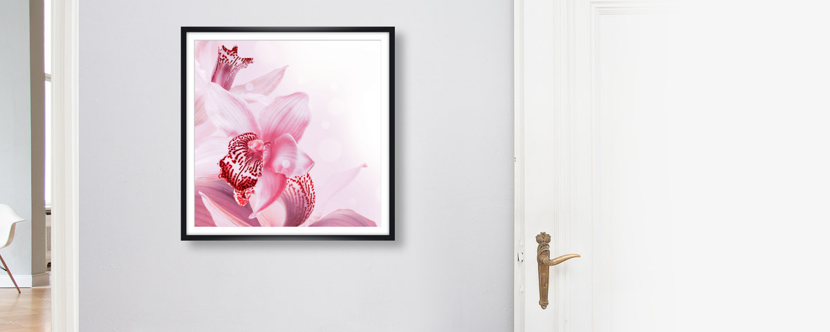 Acheter des photos d'orchidée