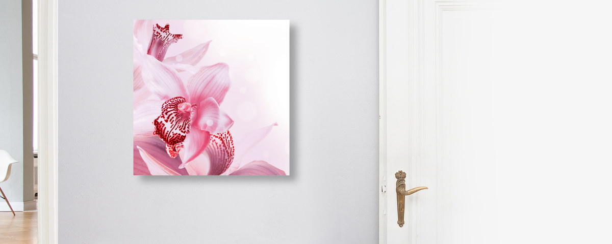 Acheter des photos d'orchidée