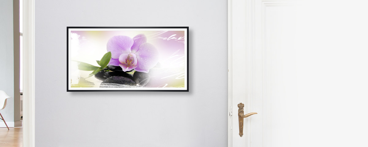 Panorama d'orchidée