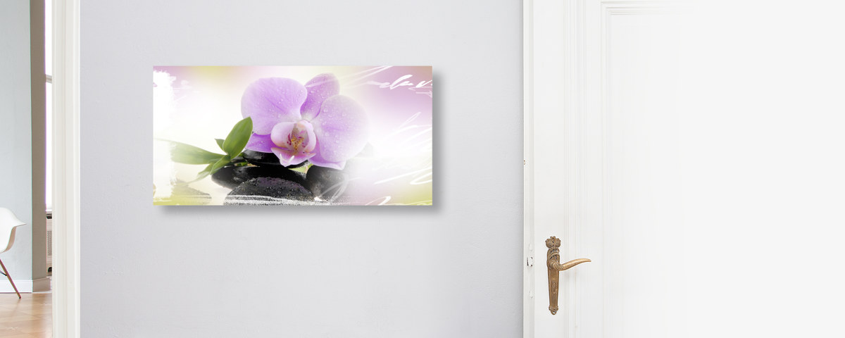 Panorama d'orchidée