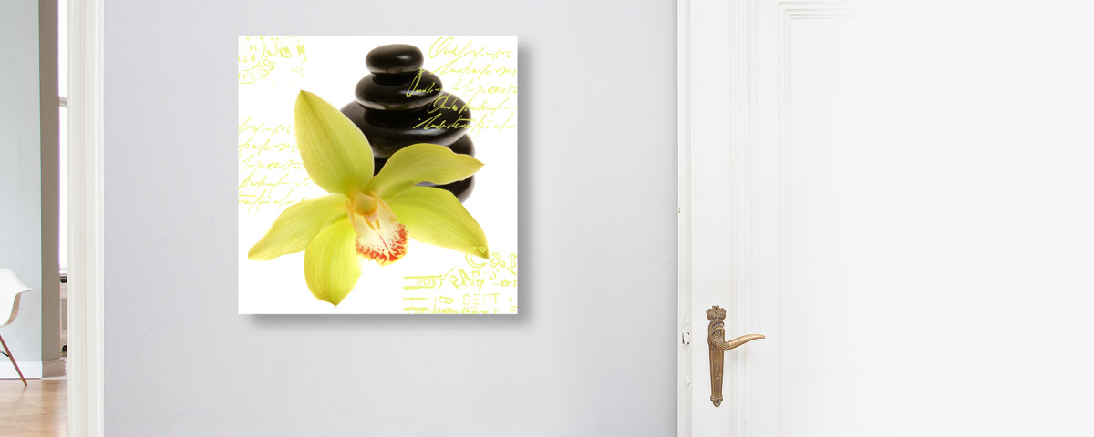 Orchideen Bilder