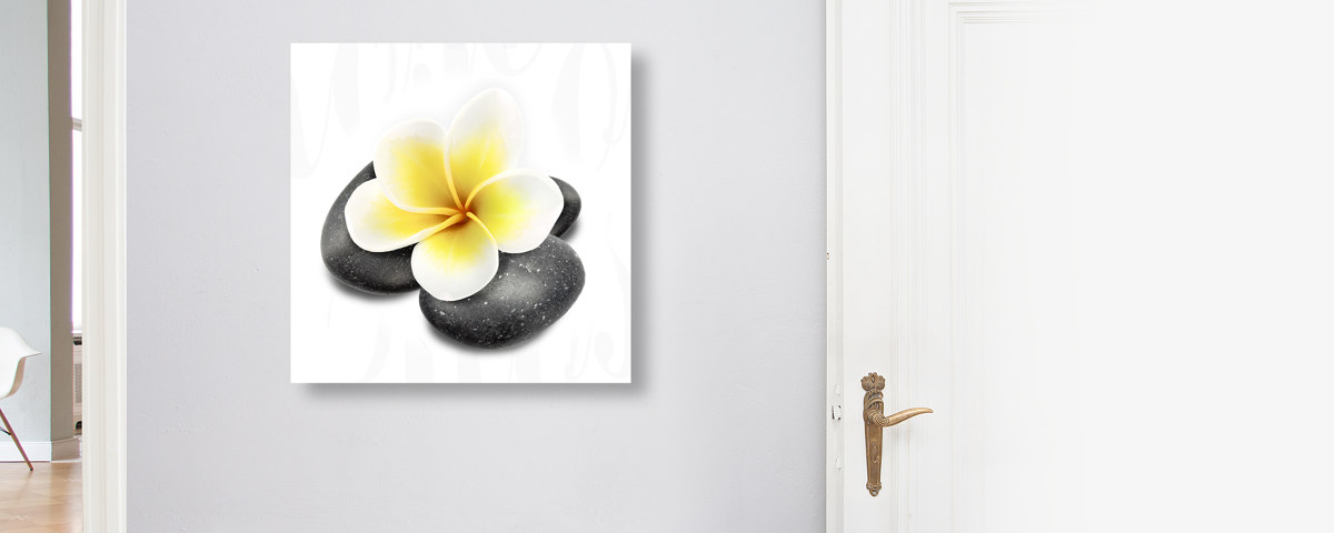 Plumeria Bild