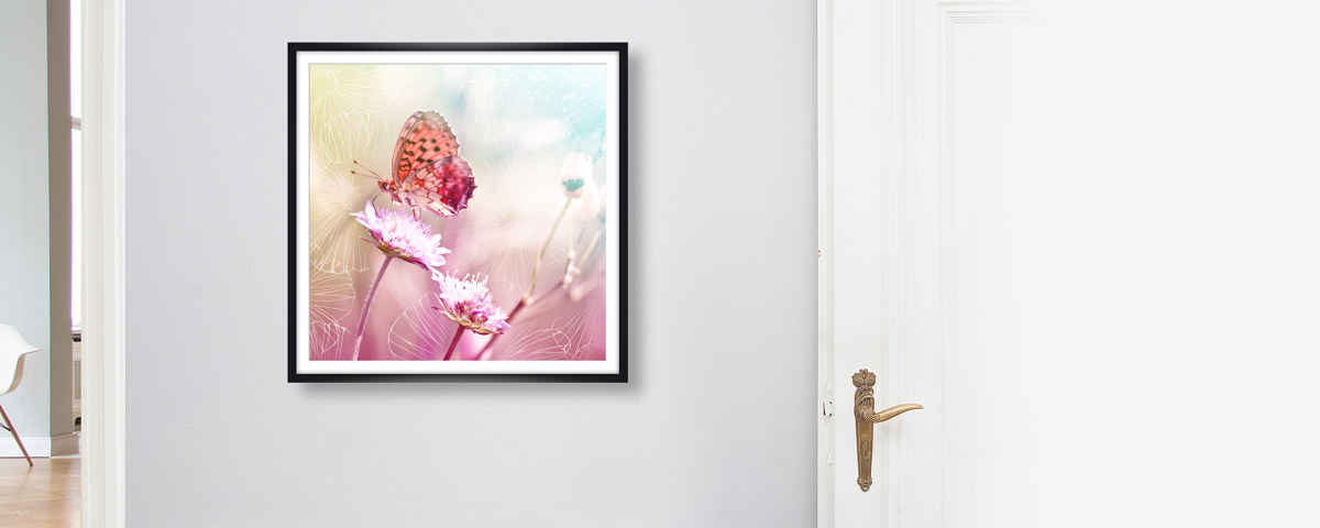Papillon sur fleur