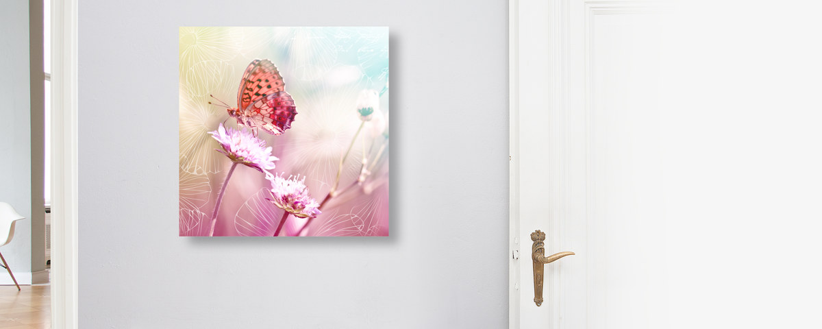 Papillon sur fleur