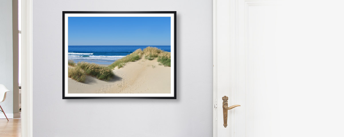 Plaatje van strandduin