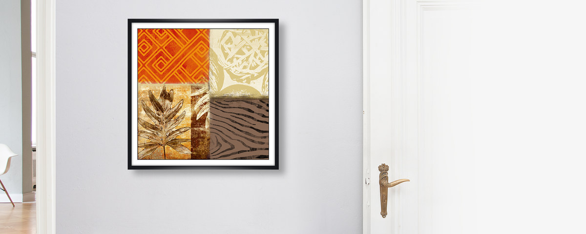 Collage photos succulentes