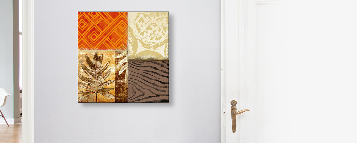 Collage photos succulentes